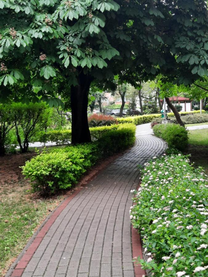 شقة Apartament W Centrum Wroclawia الغرفة الصورة